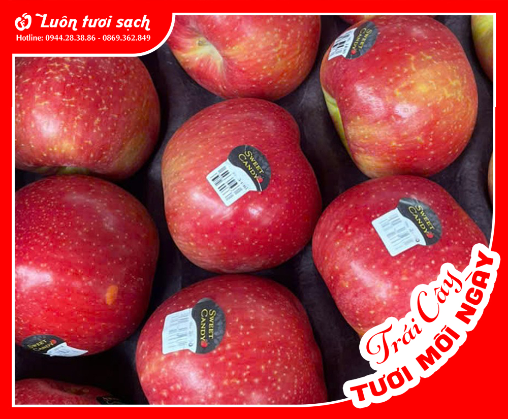 Táo Ever Crisp Mỹ sz 80-88